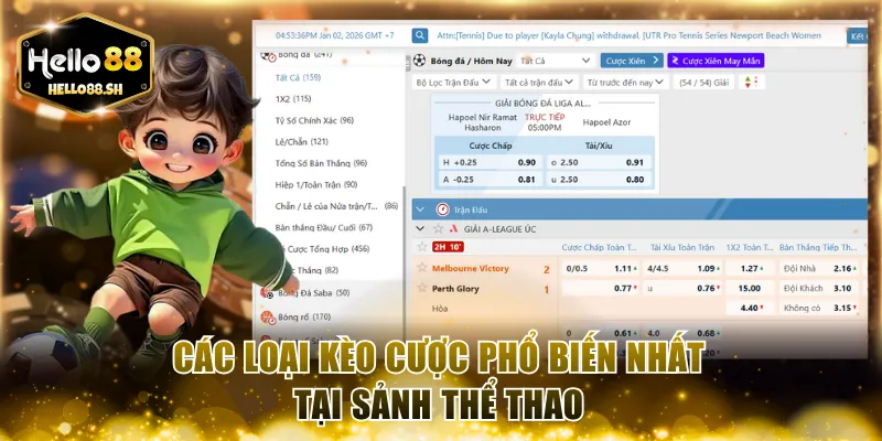 Các loại kèo cược phổ biến nhất tại sảnh thể thao