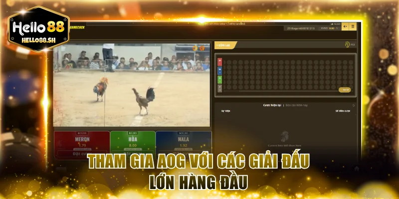 Tham gia AOG với các giải đấu lớn hàng đầu